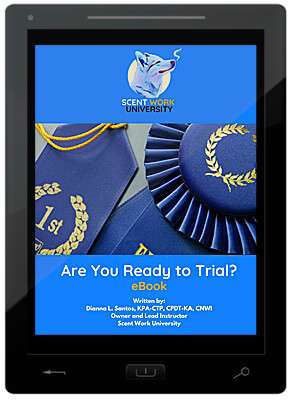 Are You Ready to Trial? E-Book