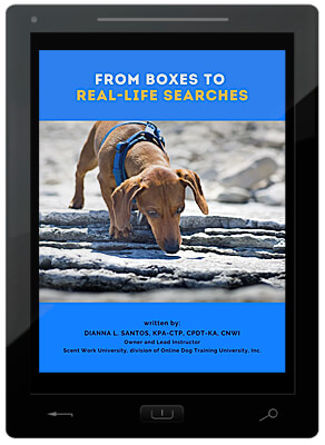 From Boxes to Real-Life Searches E-Book