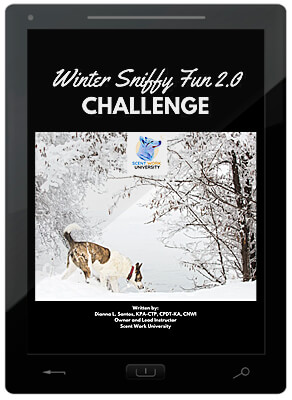 Winter Sniffy Fun 2.0 Challenge E-Book