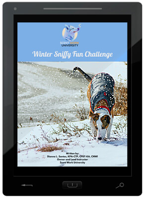 Winter Sniffy Fun Challenge E-Book