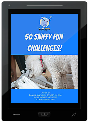 50 Sniffy Fun Challenges E-Book