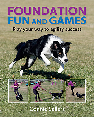 Foundation Fun and Games - Play Your Way to Agility Success