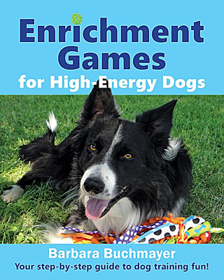 https://www.cleanrun.com/images/Books%20and%20Videos/enrichment-games-for-high-energy-dogs-front_big.jpg