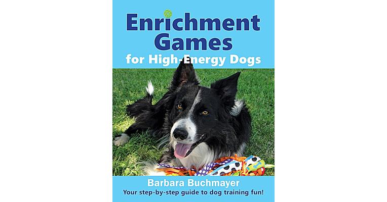 Games That Provide Cognitive Training And Entertainment For Dogs 