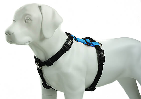 Balance Harness - Fully Adjustable Dog Harness - Clean Run