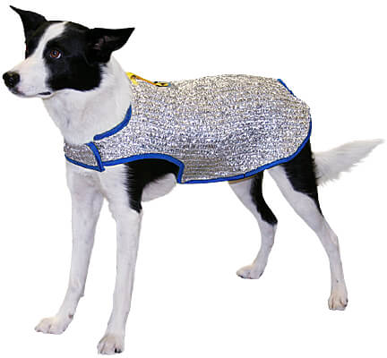 Lightweight Dog Handler Training Vest for Warm Weather