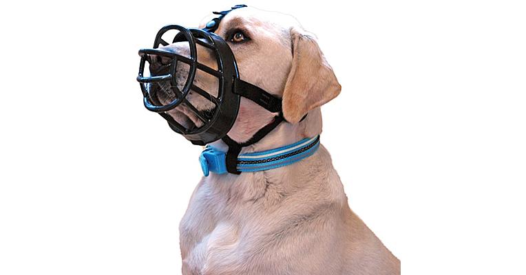 what size muzzle for my dog