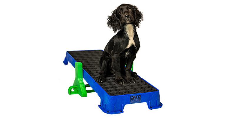 Pet Supplies : Cato Board - Dog Training Platform (Blue, Rubber Surface) 