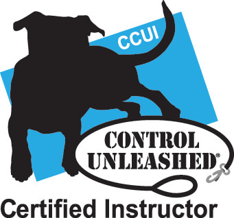 Control Unleashed Instructor Certification Program CCUI Clean Run