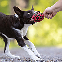 Doggie-Zen Hol-ee Stuffer - Beaver Fur with Squeaker