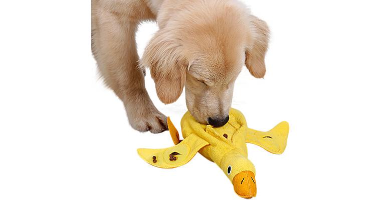 dog toys you can stuff with food