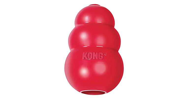 How to Choose the Right KONG for Your Dog