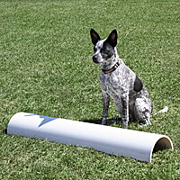 Durable Dogs Running Jumping Stakes Dog Exercise Equipment – The