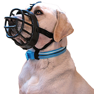 baskerville ultra dog muzzle