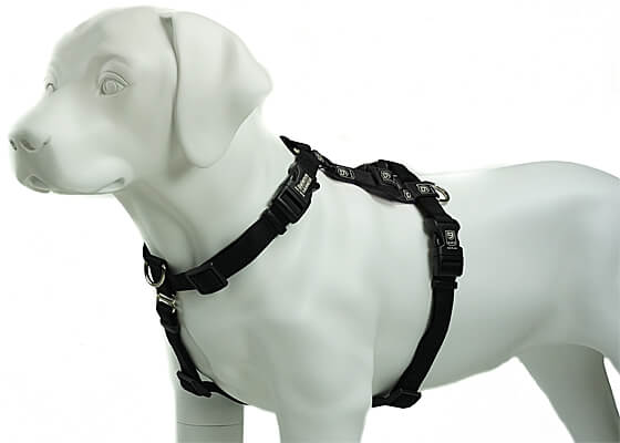 The 8 Different Types Of Dog Harnesses For Every Type Of Dog