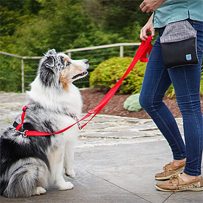 Balance Harness - Fully Adjustable Dog Harness - Clean Run