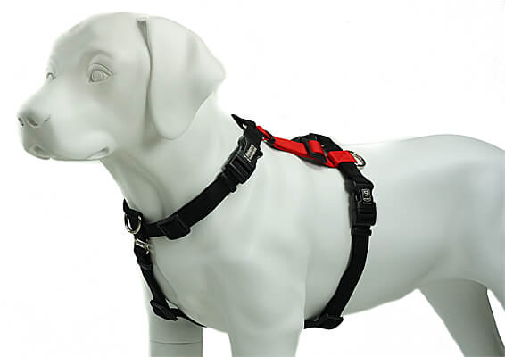 Balance Harness - Fully Adjustable Dog Harness - Clean Run
