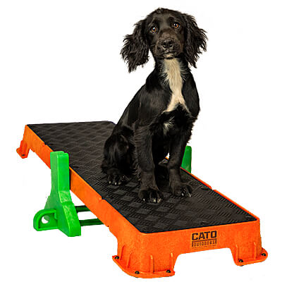 Dogs Training Place Boards
