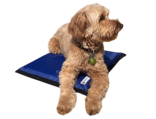 Cooler Dog Hydro Cooling Mat Ice Sheet Refill, Refreezable 