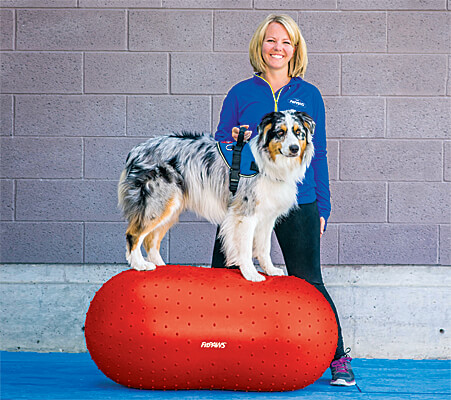 SVD.PET Dog Treat Ball: Dog Activity Treat Ball & Treat Dispensing Dog  Toys, Int