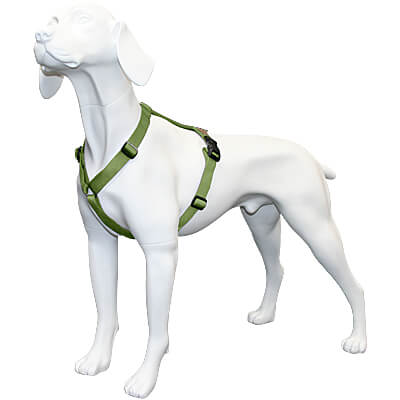 Haqihana multicolor dog store harness