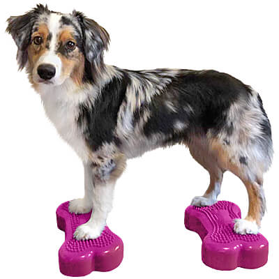 FitPAWS Mini K9FITbone Balance Bones - Clean Run