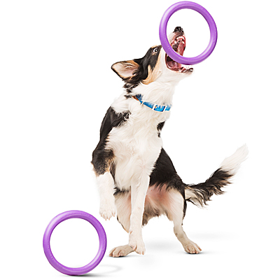 Puller Interactive Toy – DogSport Gear
