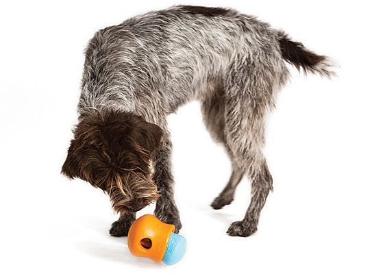 Toppl Treat/Food Toy – Planet Blue Dog
