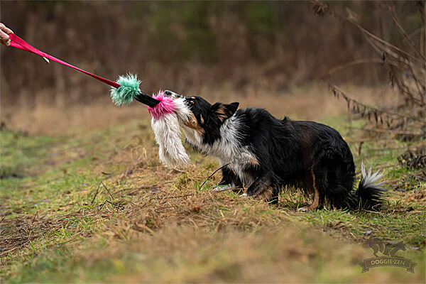 Bungee KONG Senior Tug S - Doggie-Zen