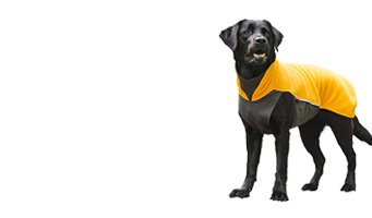 /category/performance_dog_gear_and_equipment/dog_coats_and_dog_jackets/index.cfm